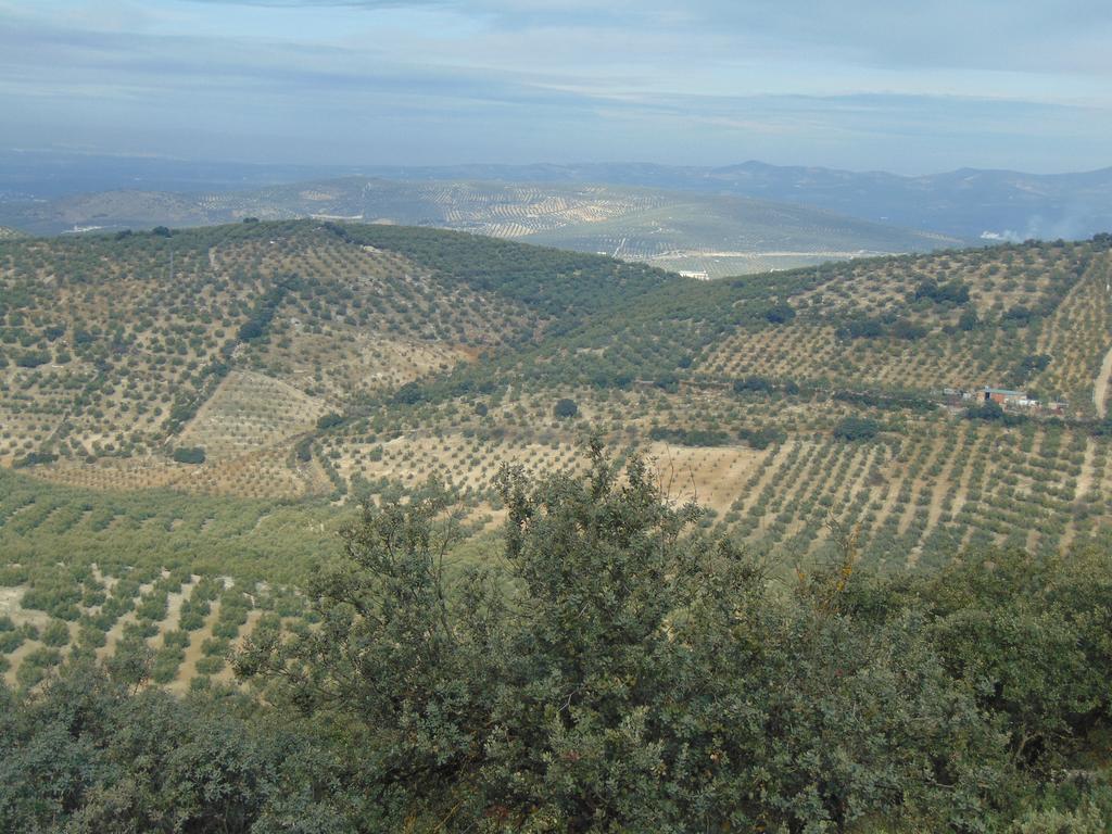 Hotel Sierra de Araceli Lucena Esterno foto