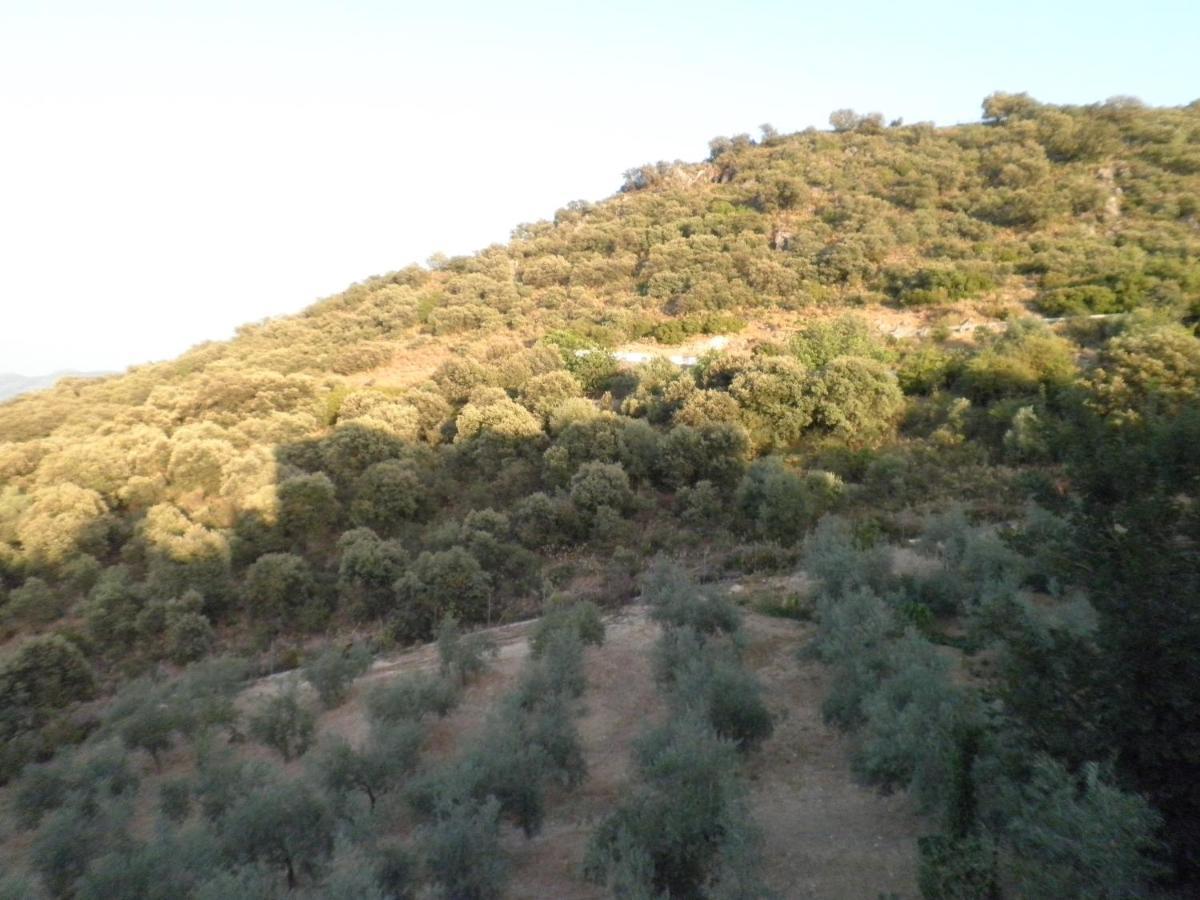 Hotel Sierra de Araceli Lucena Esterno foto